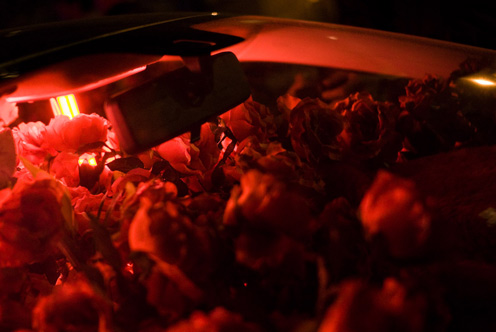 Red roses car
